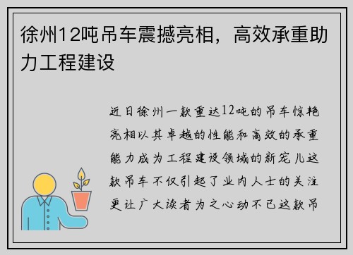 徐州12吨吊车震撼亮相,高效承重助力工程建设