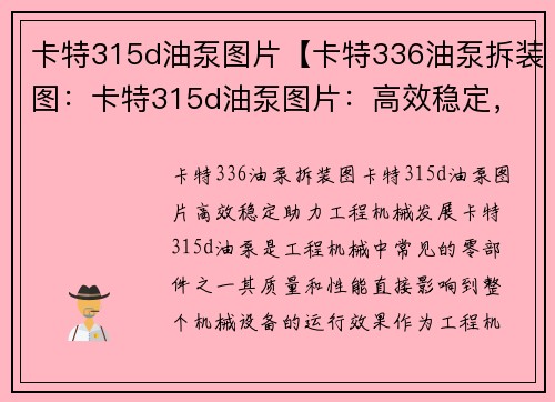 卡特315d油泵图片【卡特336油泵拆装图:卡特315d油泵图片:高效稳定,助力工程机械发展】