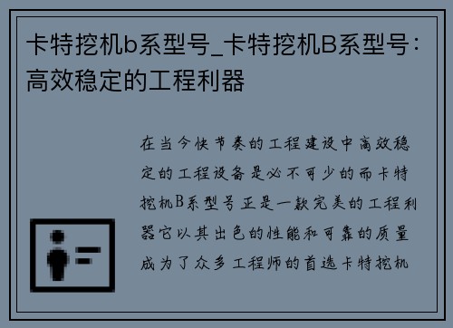 卡特挖机b系型号_卡特挖机B系型号:高效稳定的工程利器
