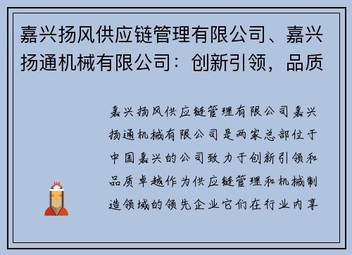 嘉兴扬风供应链管理有限公司、嘉兴扬通机械有限公司:创新引领,品质卓越